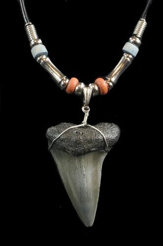 Fossil Mako Shark Tooth Necklace #43059